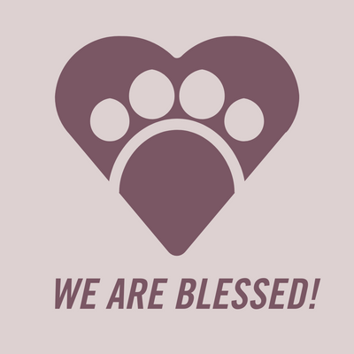 We Are Blessed: Taking "paws" to celebrate 25 years of Franciscan Peacemakers!